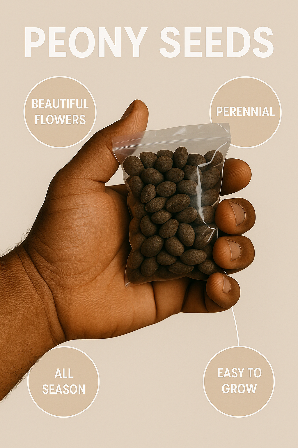 Decor Peony Flower seeds (Pack of 20)